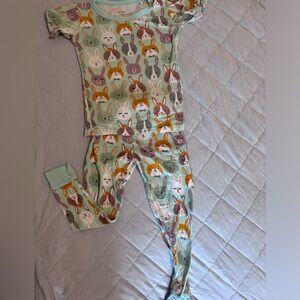 Little Sleepies Rad Bunnies 2 piece. 2T